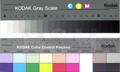 gray scale chart