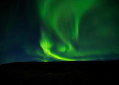 Wildlife photo of Northern Lights