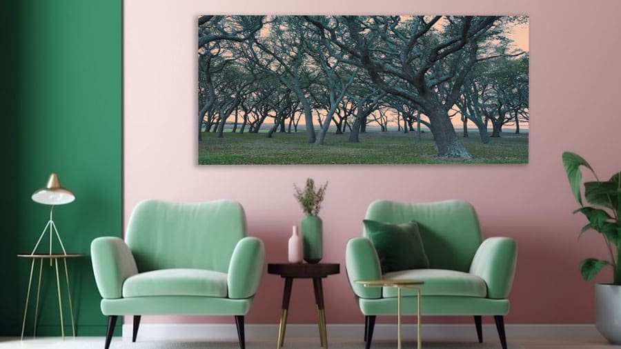 Canvas Print of Oak Tree Forest